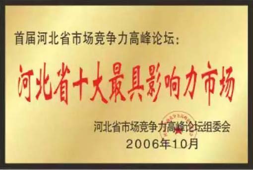 緊固件標準件生產(chǎn)廠家榮譽展示